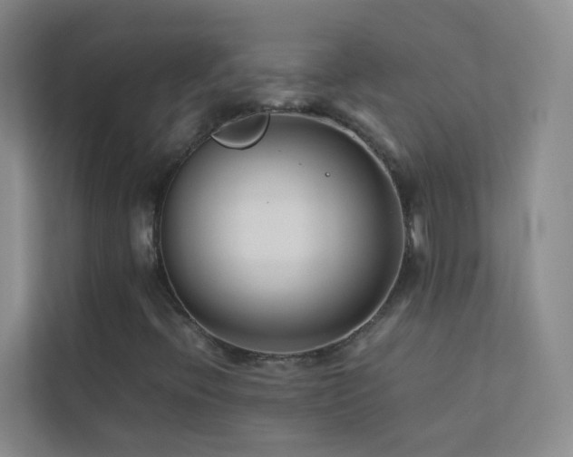 X0000113891396200909241407