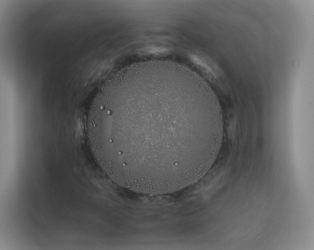 X0000113891397200909241407