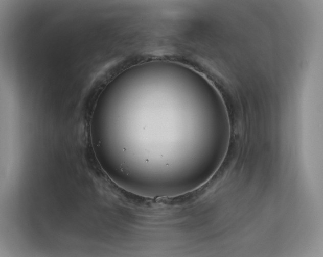 X0000113891398200909241407