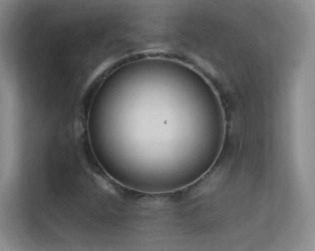 X0000113891400200909241407