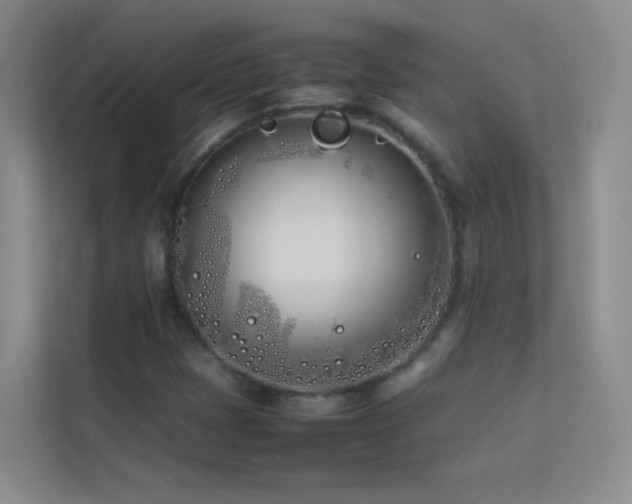 X0000113891401200909241407