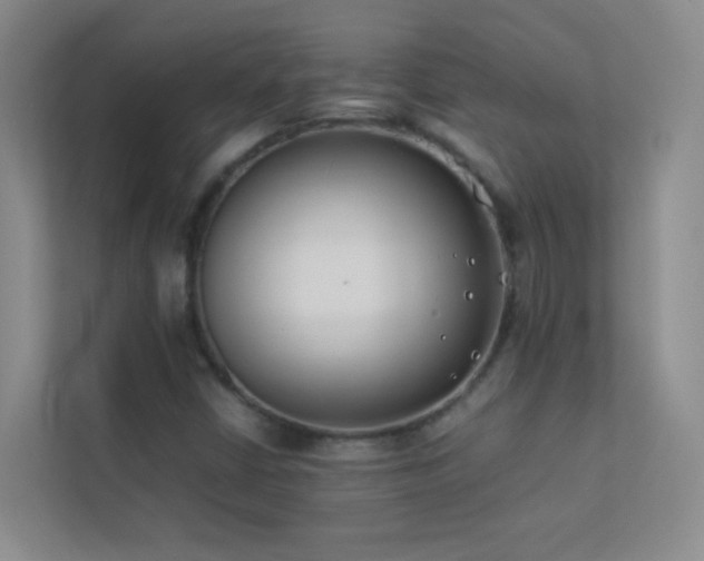 X0000113891402200909241407