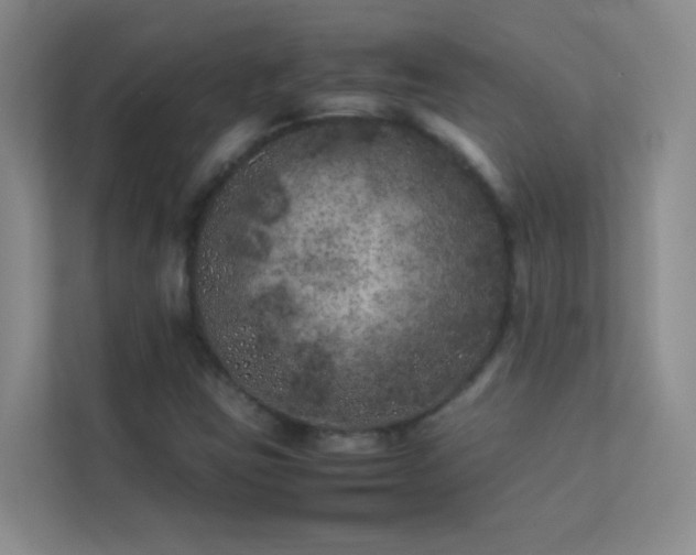 X0000113891403200909241407