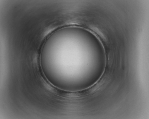 X0000113891404200909241407