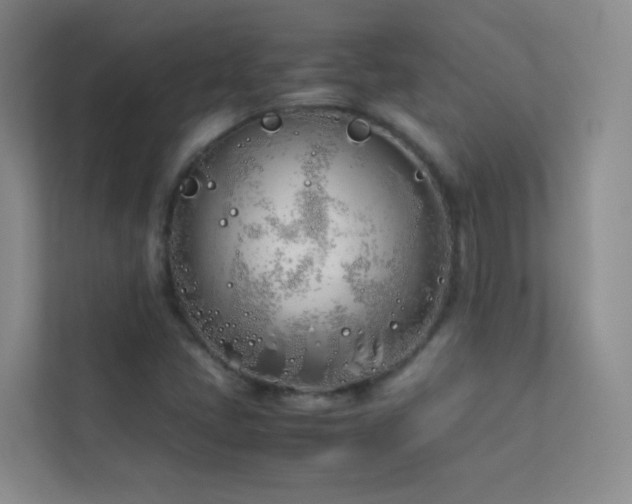 X0000113891405200909241407
