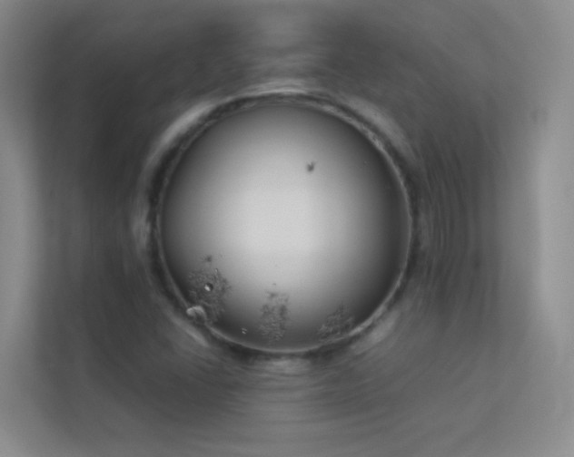 X0000113891406200909241407