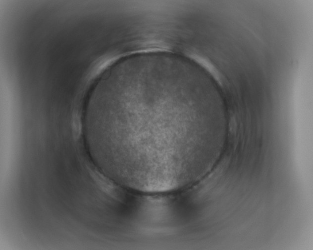X0000113891407200909241407