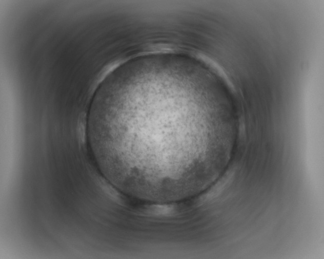 X0000113891409200909241407