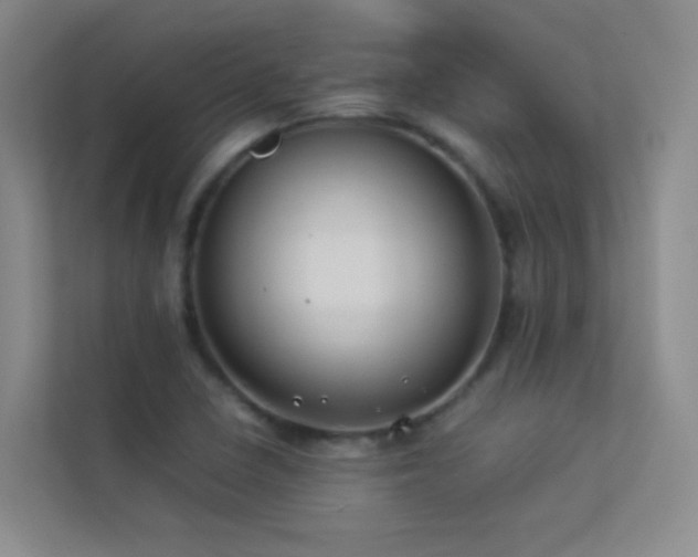 X0000113891410200909241407