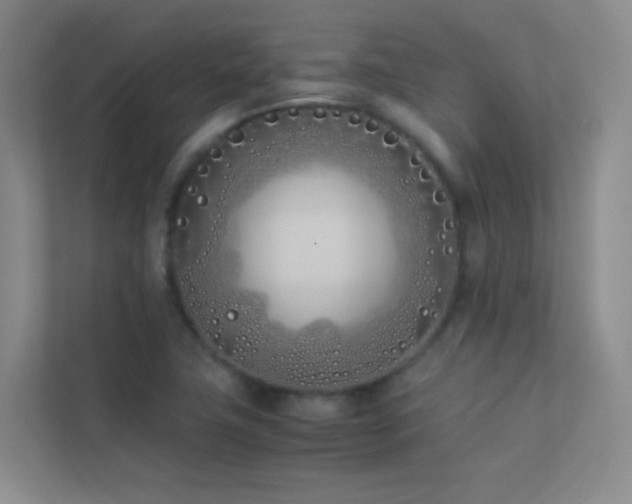 X0000113891411200909241407