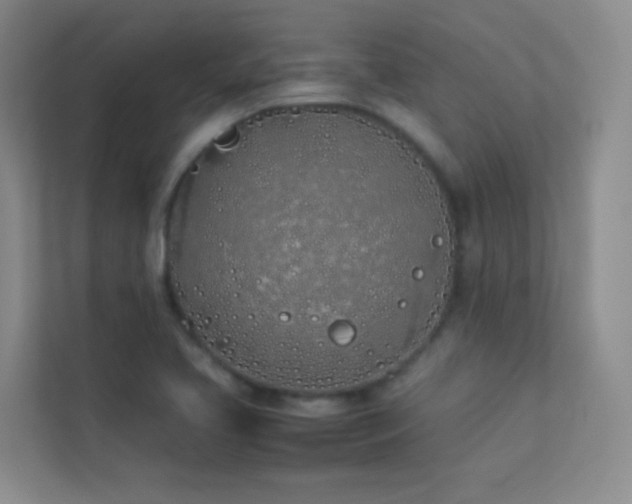 X0000113891413200909241407