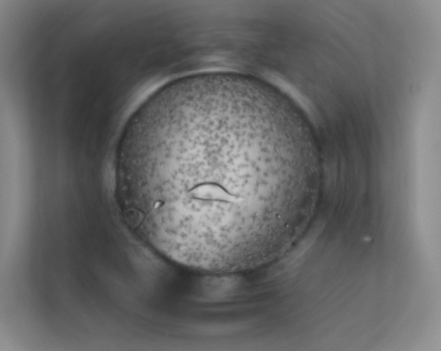 X0000113891415200909241407