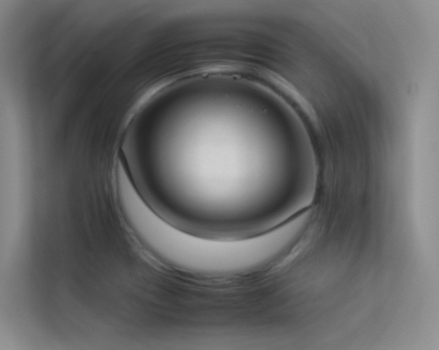 X0000113891417200909241407