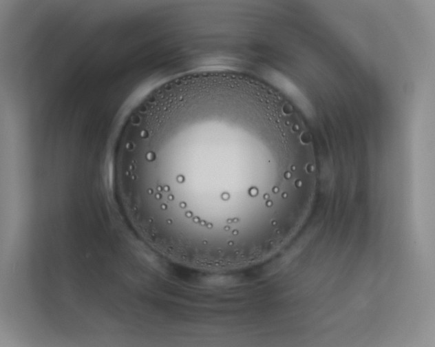 X0000113891419200909241407