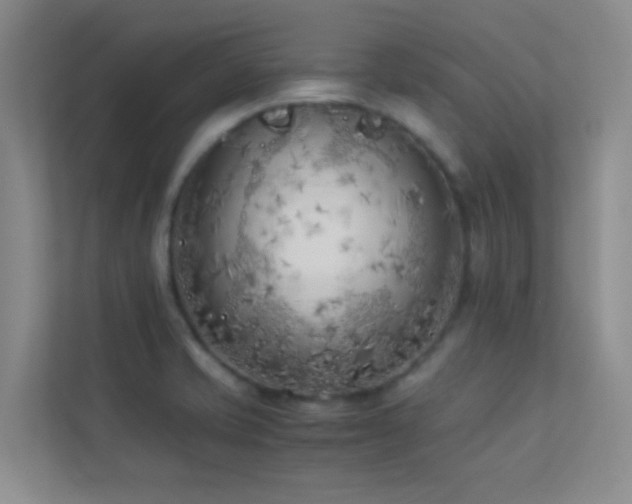 X0000113891421200909241407