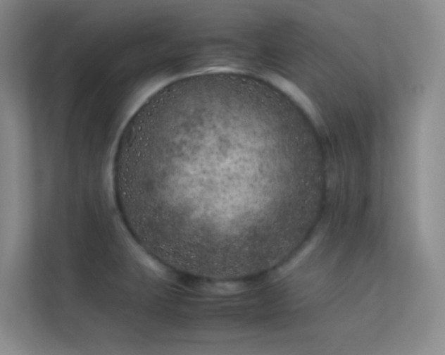 X0000113891423200909241407