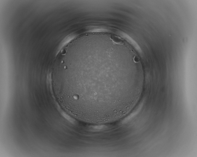 X0000113891425200909241407