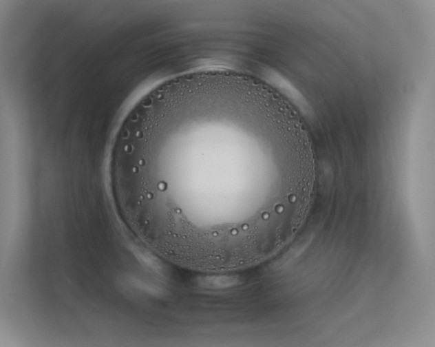 X0000113891427200909241407