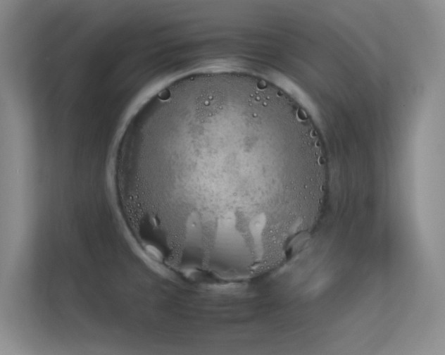 X0000113891429200909241407