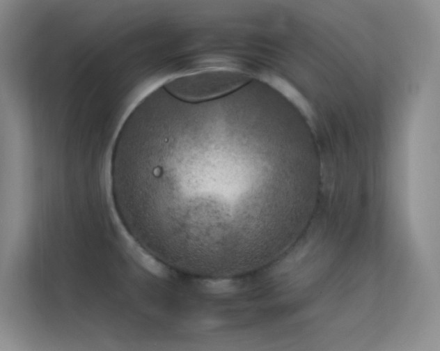 X0000113891431200909241407