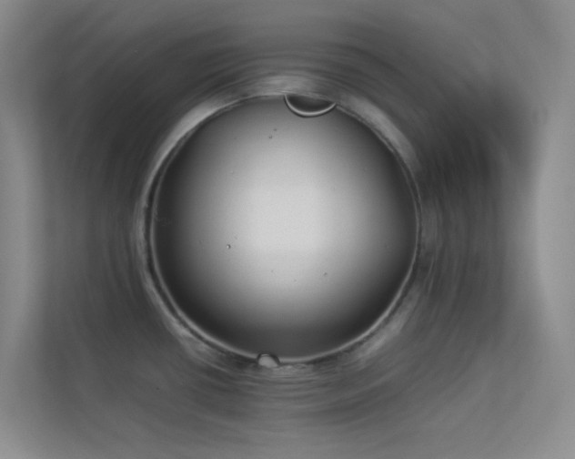 X0000113891434200909241407