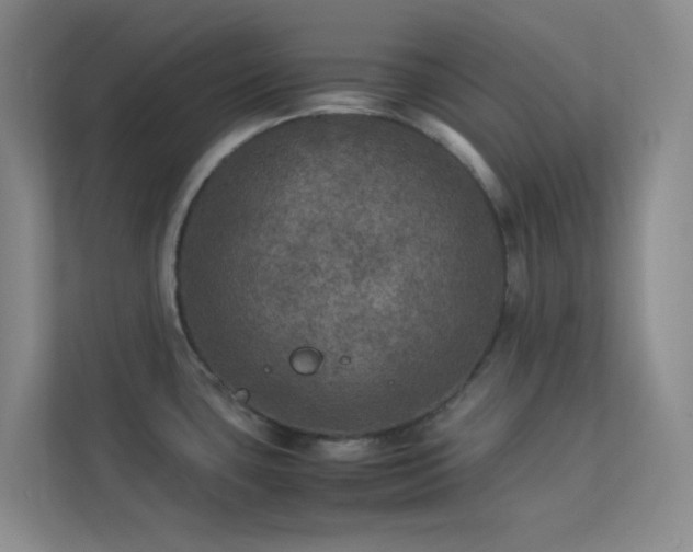 X0000113891435200909241407