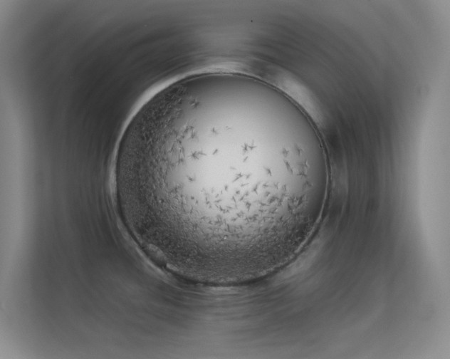 X0000113891436200909241407