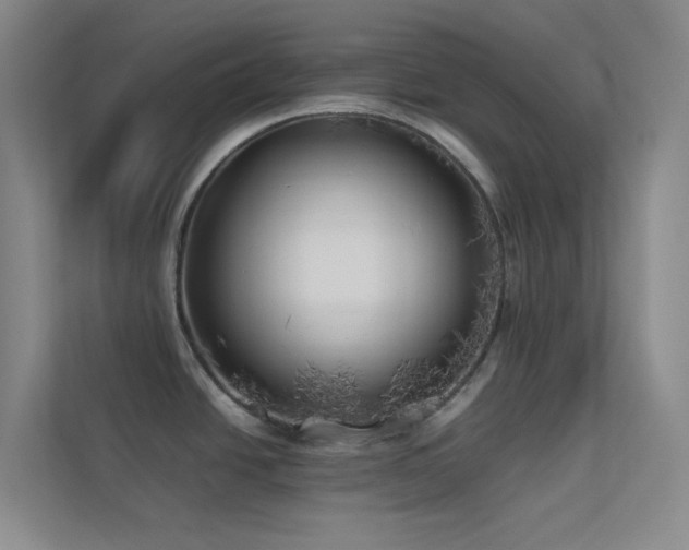 X0000113891438200909241407