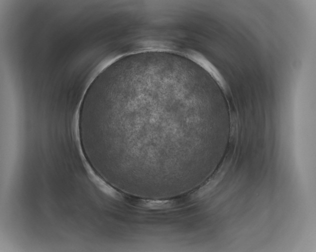 X0000113891439200909241407