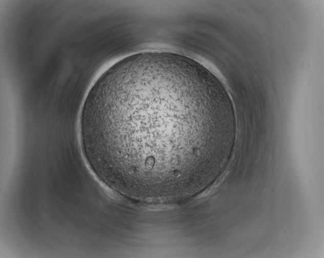 X0000113891440200909241407