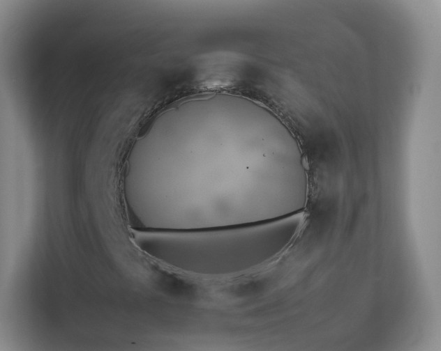 X0000113891441200909241407