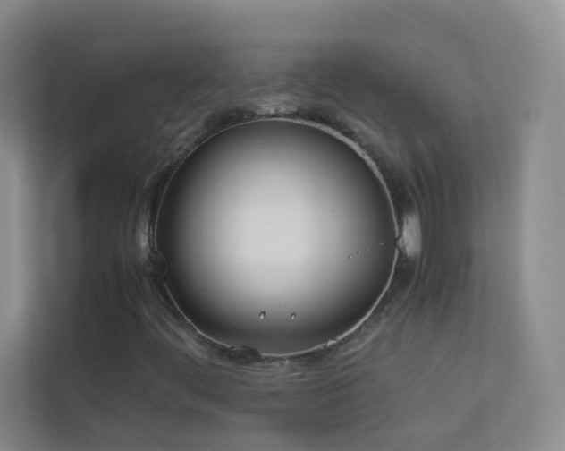 X0000113891444200909241407