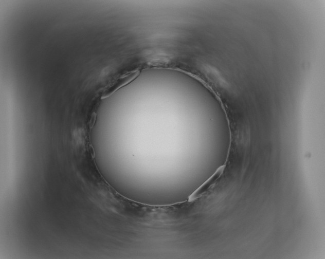 X0000113891445200909241407