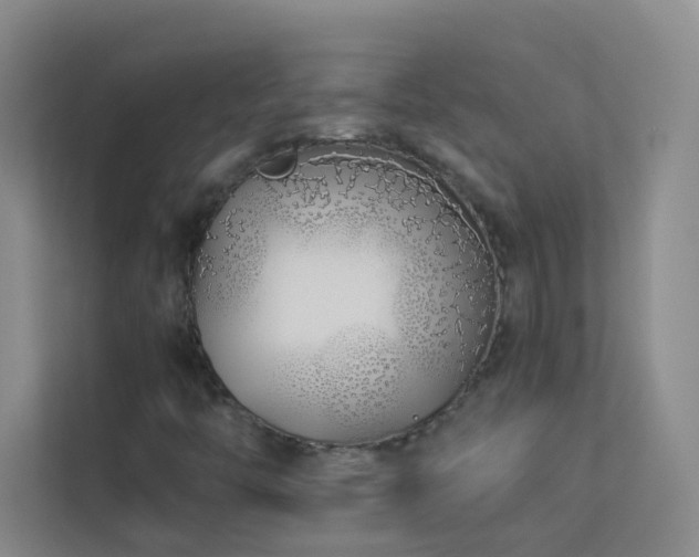 X0000113891446200909241407