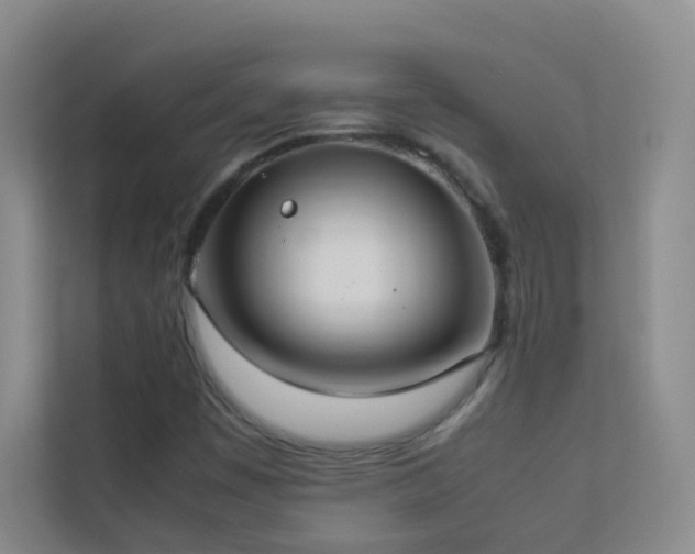 X0000113891449200909241407