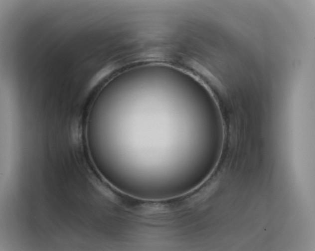 X0000113891450200909241407