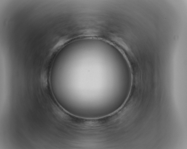 X0000113891451200909241407