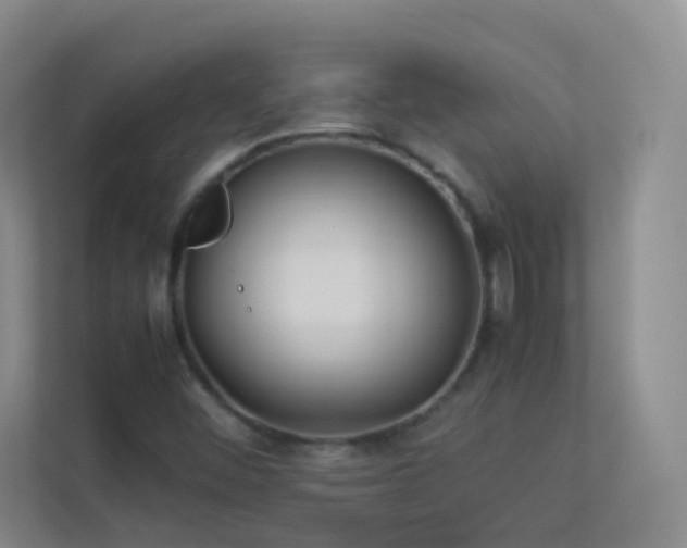 X0000113891452200909241407