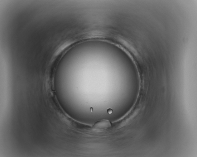 X0000113891453200909241407