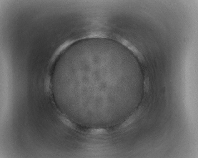 X0000113891454200909241407
