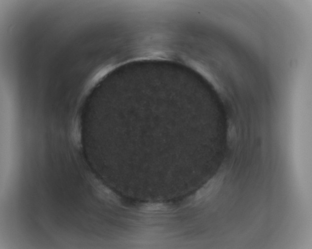 X0000113891455200909241407