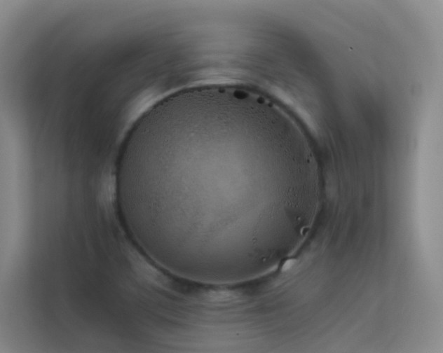 X0000113891459200909241406