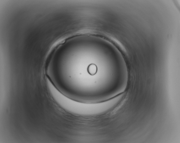 X0000113891461200909241406
