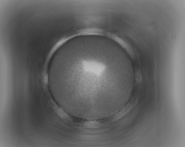 X0000113891462200909241406