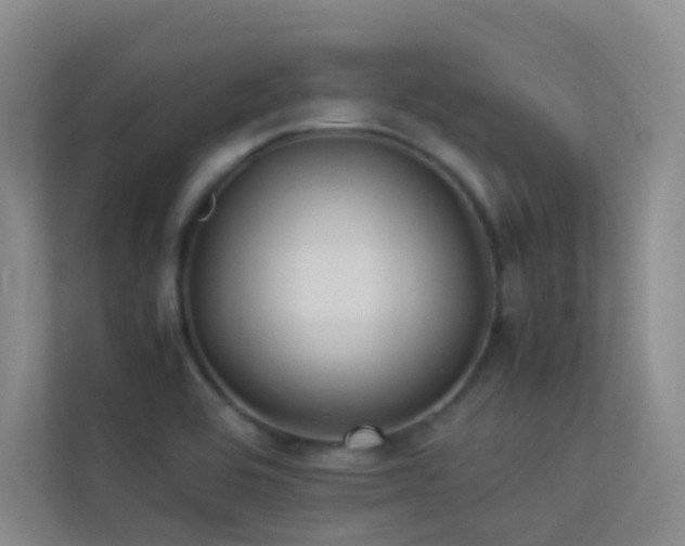 X0000113891464200909241406