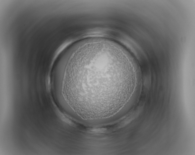 X0000113891466200909241406