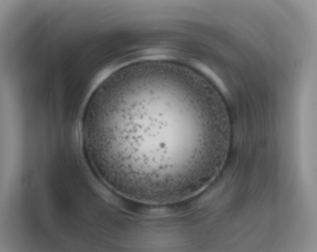 X0000113891467200909241406