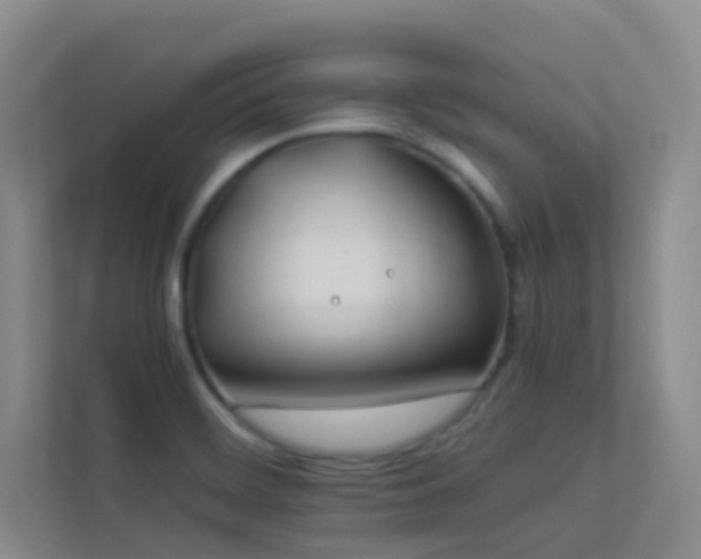 X0000113891468200909241406