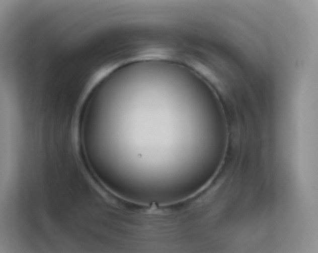 X0000113891469200909241406