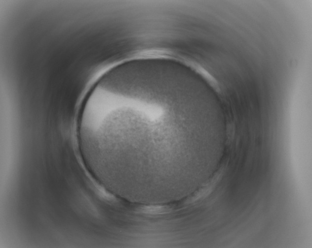 X0000113891470200909241406